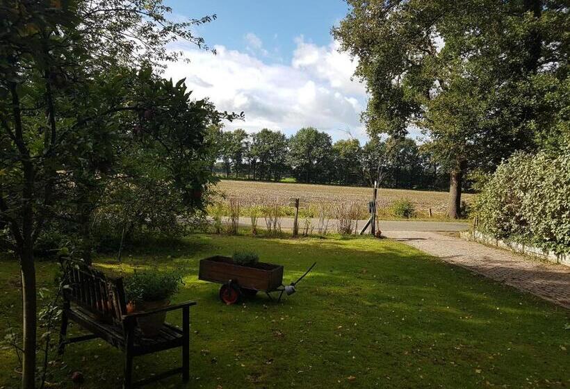 צימר Huisjeaandedinkel