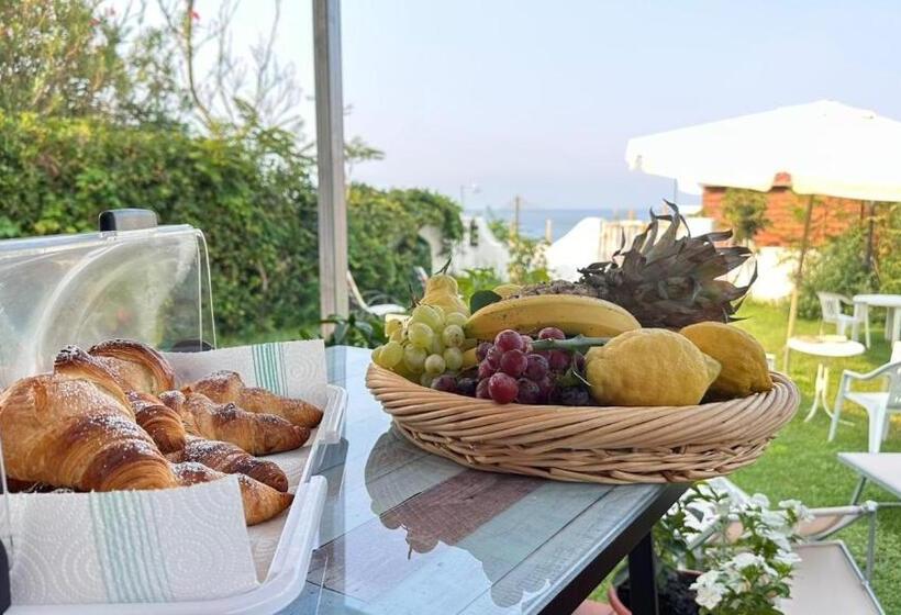 تختخواب و صبحانه Il Diamante Sul Mare