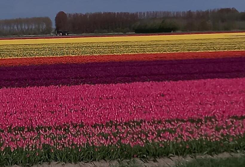 צימר Klooster Achthuizen