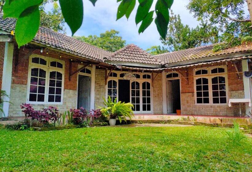 민박 Sarah S Cottage Toba Samosir