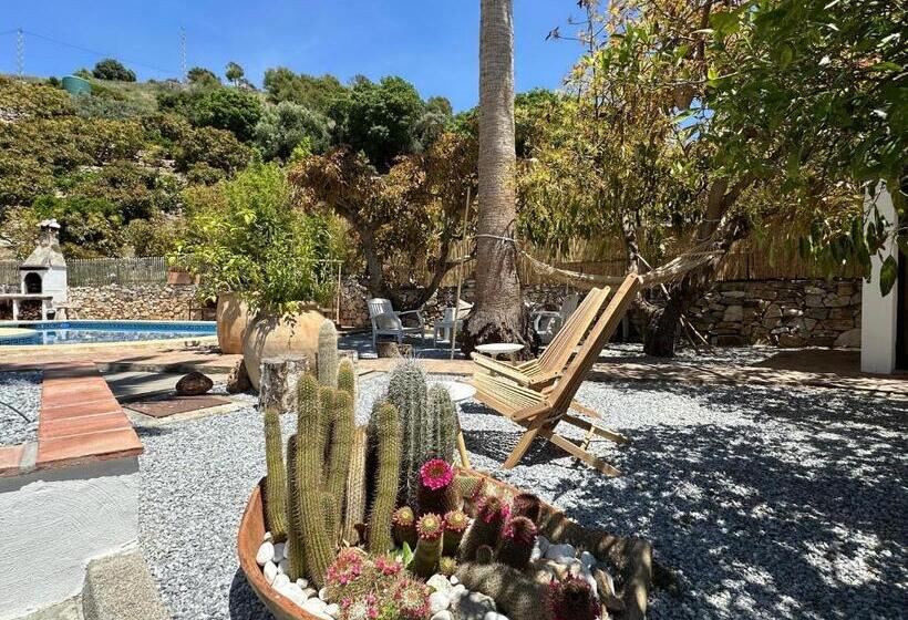 Bed & Breakfast Casa Del Palta