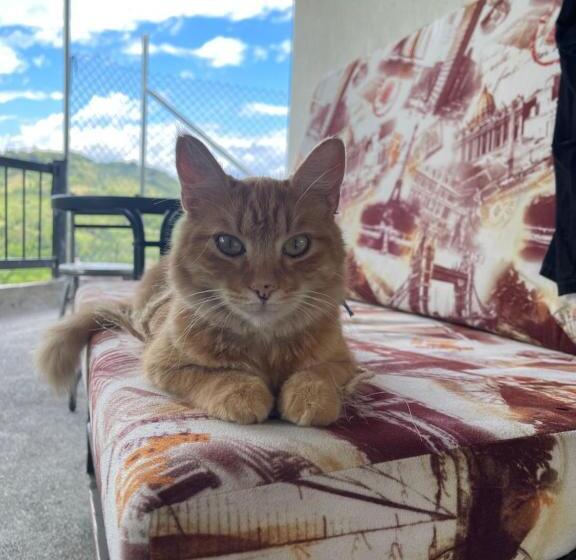 هتل Finca California