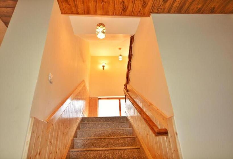 ホテル Hilly Bee, Manali