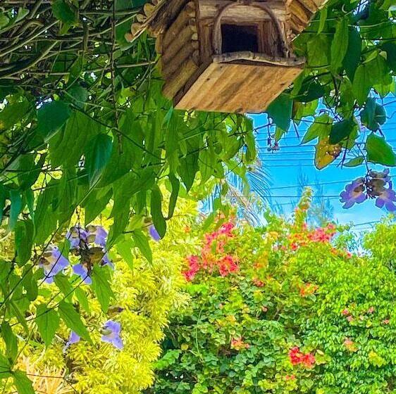 Отель Ibello Beach Pousada