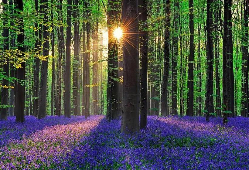 فندق Il Casolare