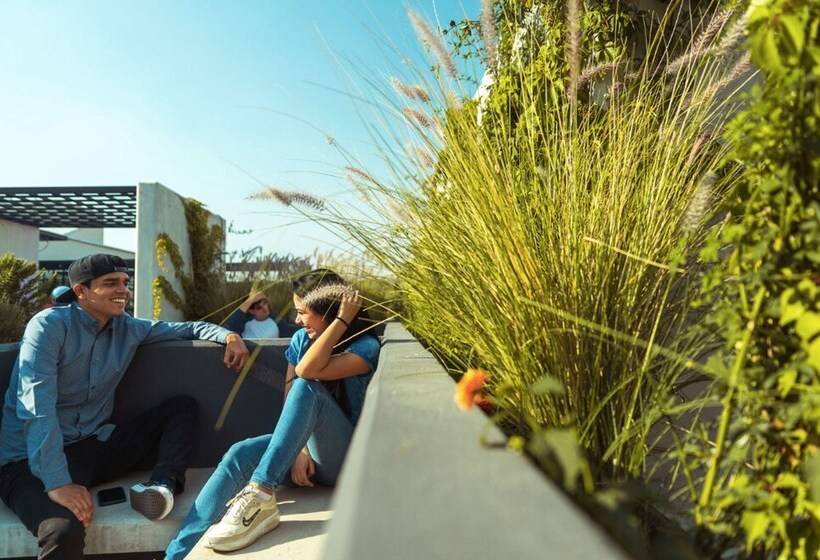 Отель Niu Reforma