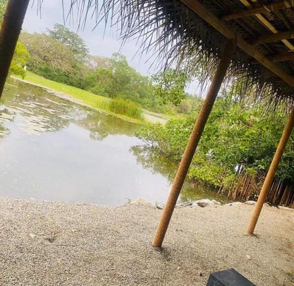 ホテル Seth Villa