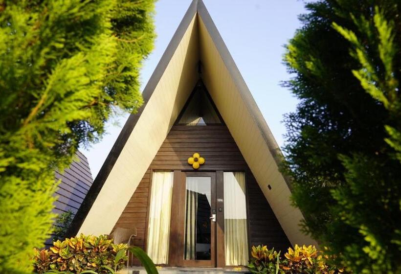 Отель Vindhyachal Resort