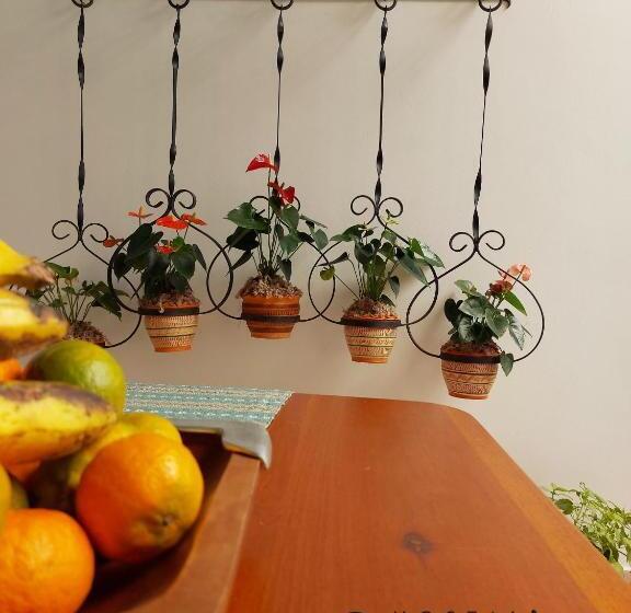 בית מלון כפרי Volarte Hostal