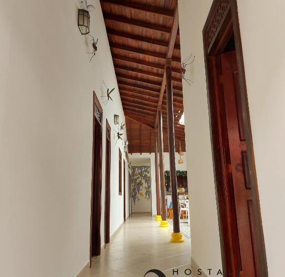 בית מלון כפרי Volarte Hostal