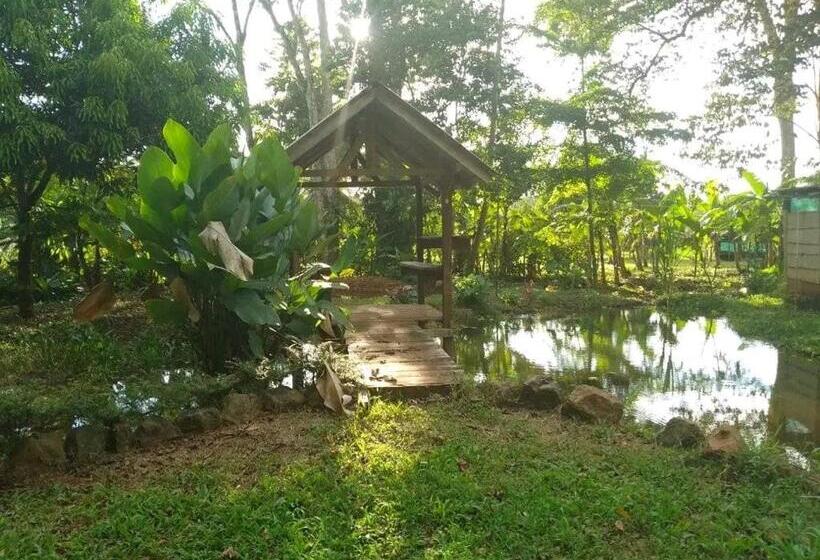 پانسیون Cabinas Casa Jungla