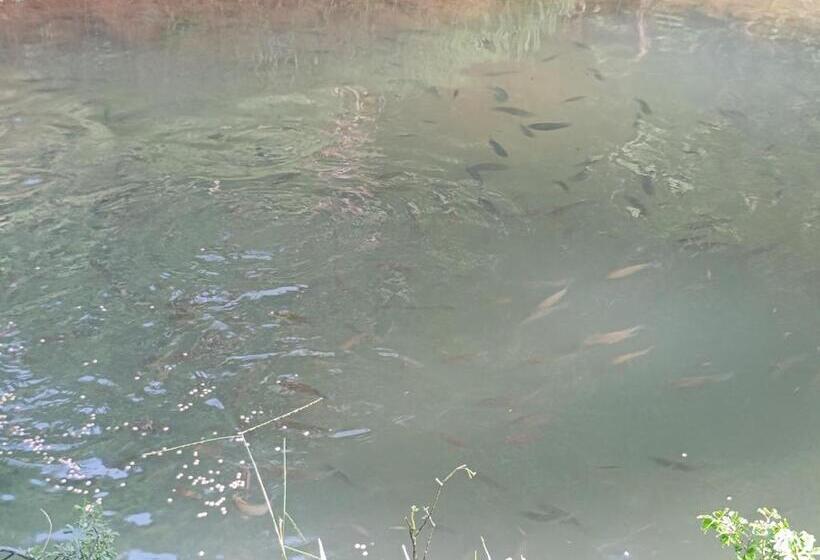 پانسیون Cabinas Casa Jungla