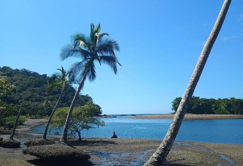 پانسیون Cabinas Casa Jungla