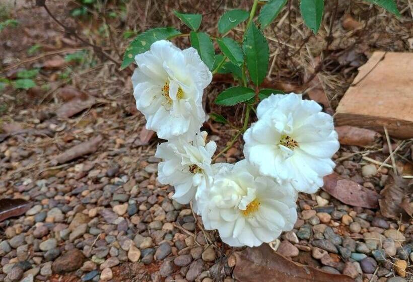 پانسیون Cabinas Casa Jungla
