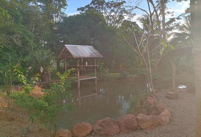 پانسیون Cabinas Casa Jungla