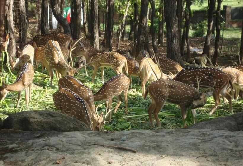 膳宿费 Canan Lake Home