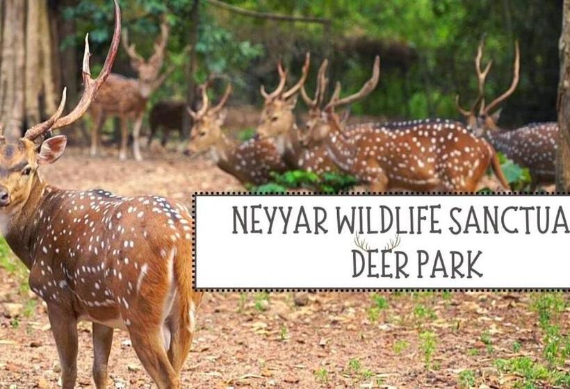 膳宿费 Canan Lake Home