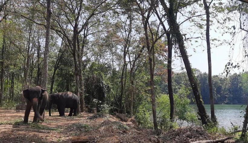 膳宿费 Canan Lake Home