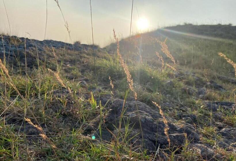 膳宿费 Canan Lake Home