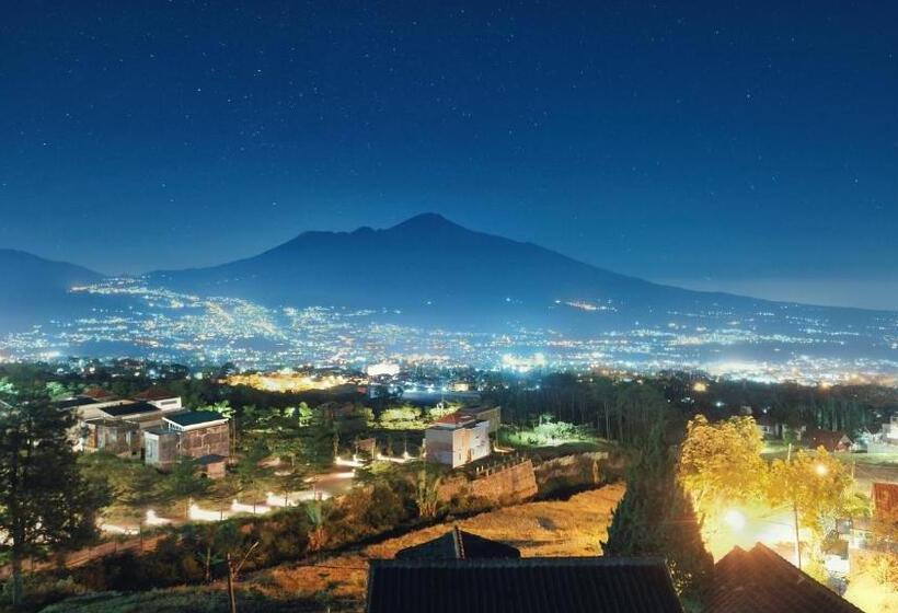 פנסיון D&d Bellevue Guest House