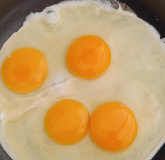 بنسيون El Paraiso De Carmen