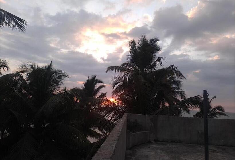 بنسيون Our Little Secret