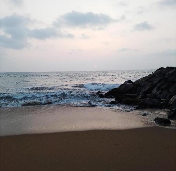 بنسيون Our Little Secret