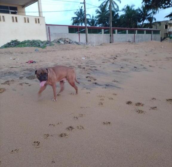 بنسيون Our Little Secret