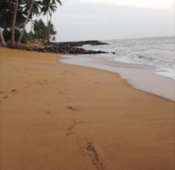 بنسيون Our Little Secret