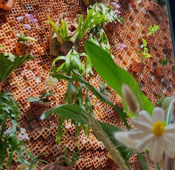 تختخواب و صبحانه Barland Villa