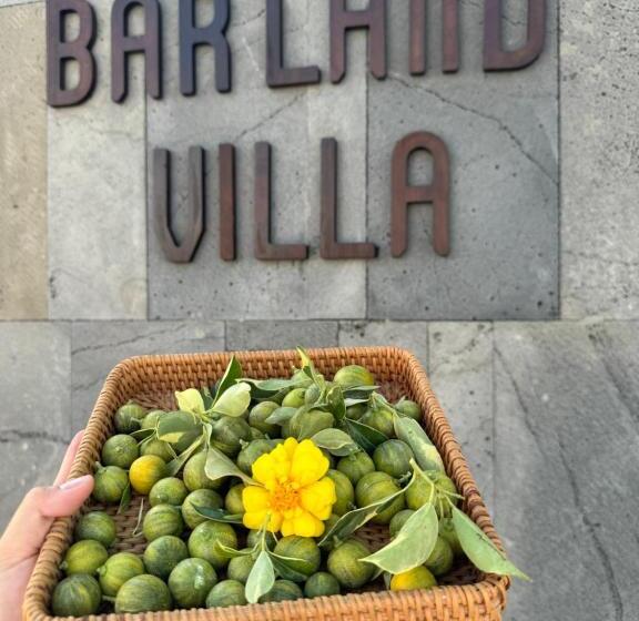 تختخواب و صبحانه Barland Villa