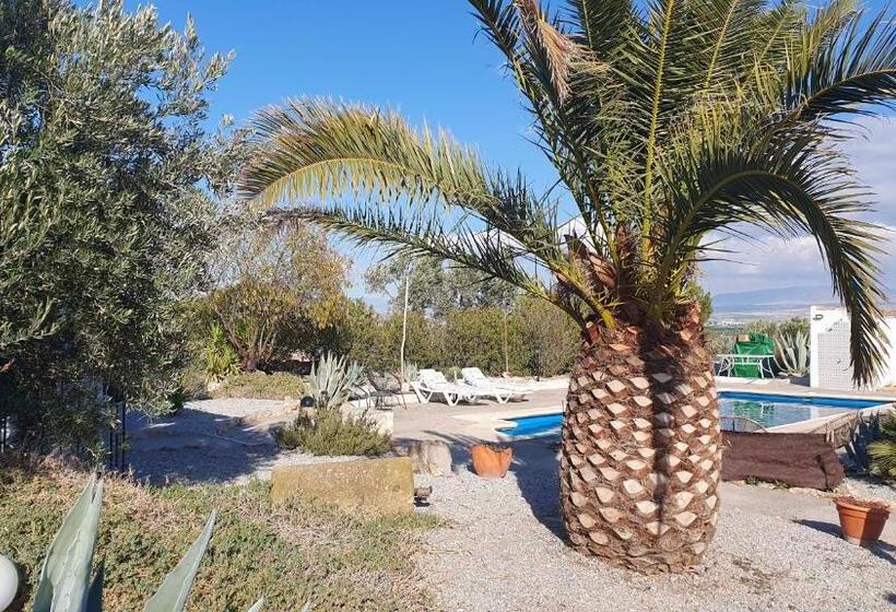 住宿加早餐  Casa De La Familia   Casa Rural