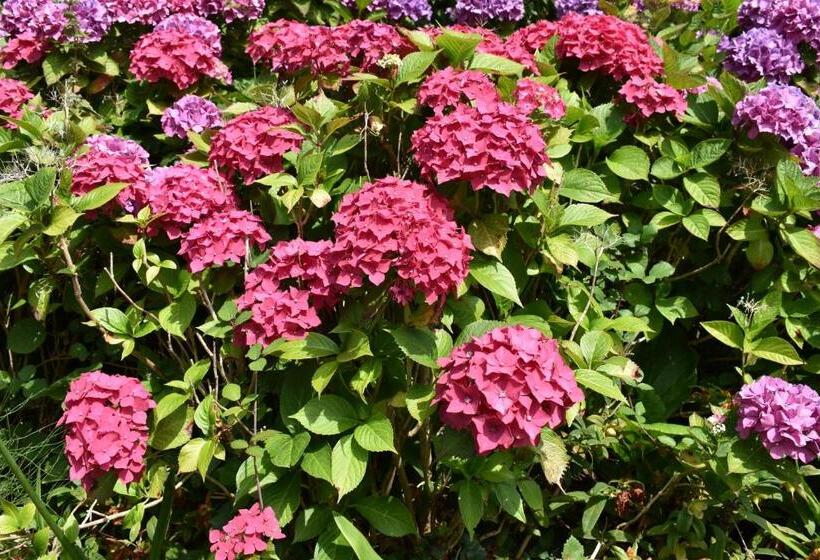 住宿加早餐  Chambre D Hôtes Plesnois