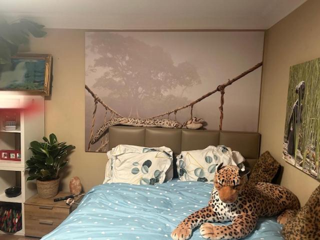 住宿加早餐  Jungle Magic Room Near Atomium , Heyzel Stadium