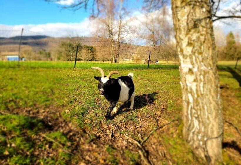 مبيت وإفطار La Roulotte Tiny House Du Mond Idéal