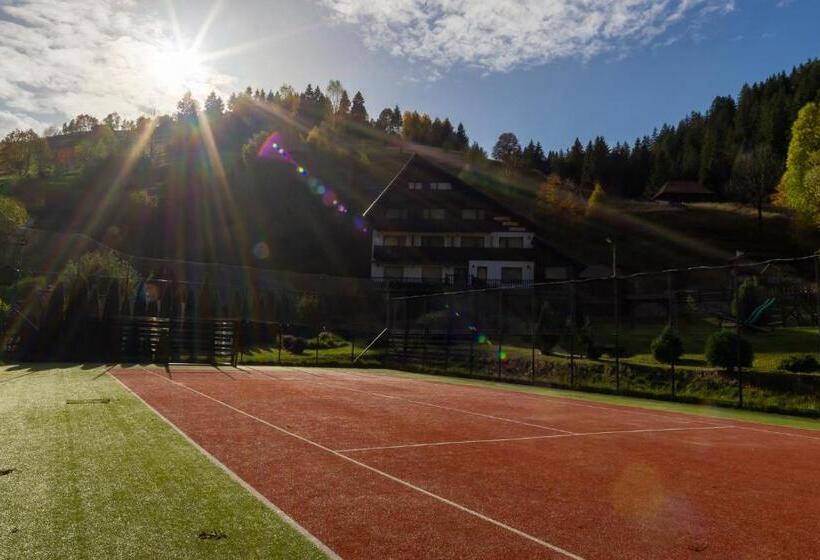 ベッドアンドブレックファースト Poiana Soarelui