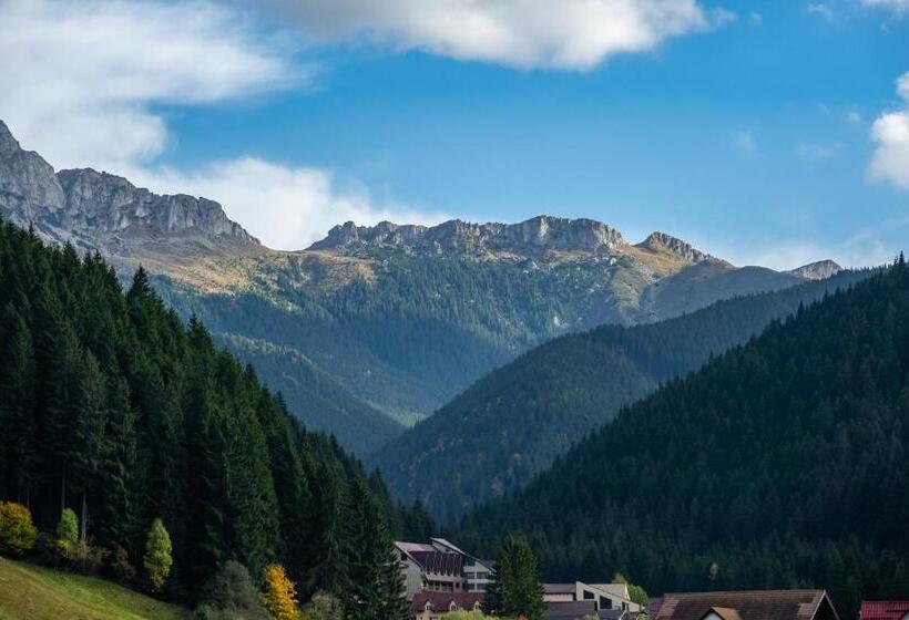 ベッドアンドブレックファースト Poiana Soarelui