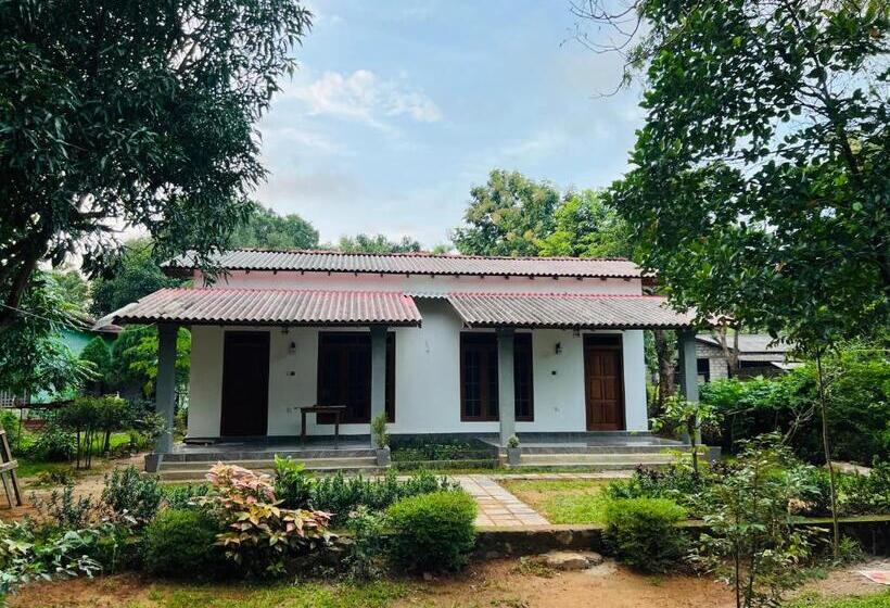 ベッドアンドブレックファースト Sunrise Oasis Retreat