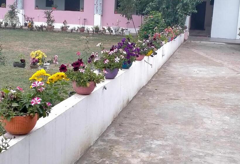 Bed and Breakfast Vedic Villa