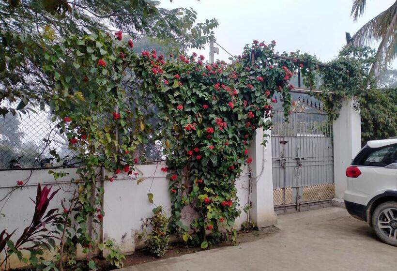 Bed and Breakfast Vedic Villa