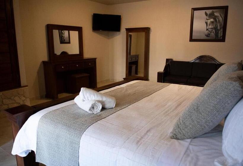 فندق Boutique Sacramento