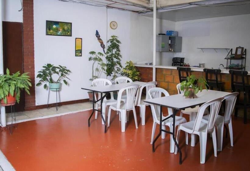 ホテル Hospedaje Oasis Central