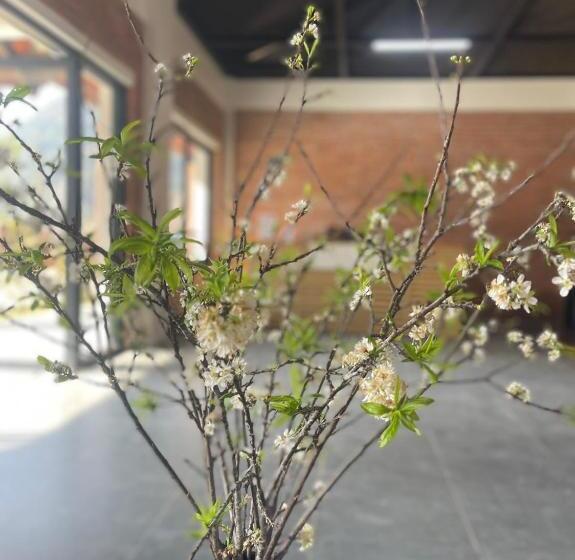 هتل Mộc Châu Mountain Retreat