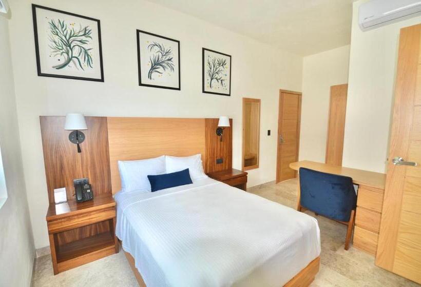 호텔 Plaza Rioverde