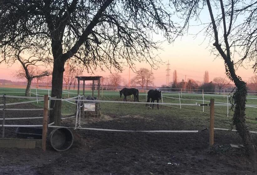 Ks Kotten Bed And Breakfast