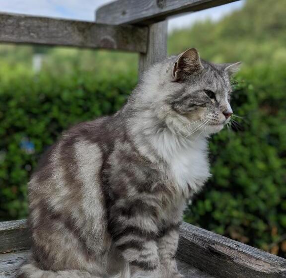 ペンション Brettmaisserhof