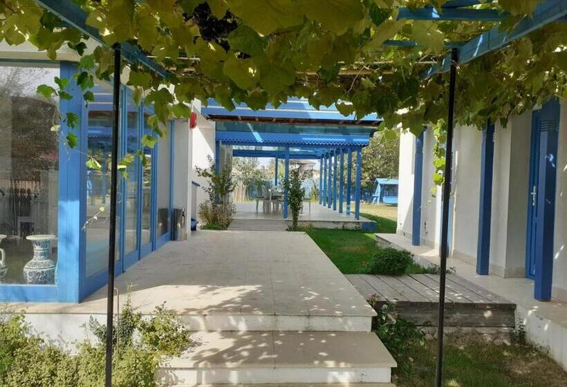 Пансион Deltarium Aegis