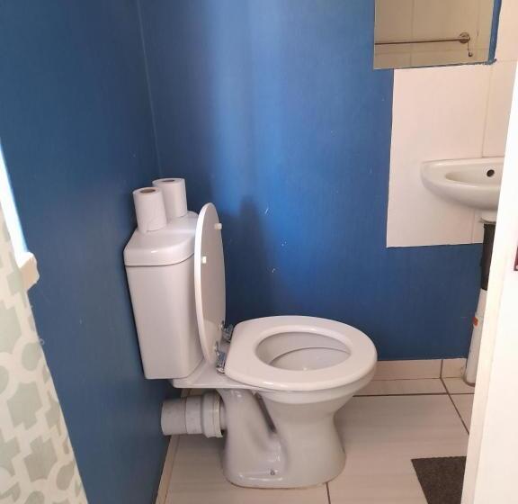 פנסיון Master Palace Guest House   Randfontien