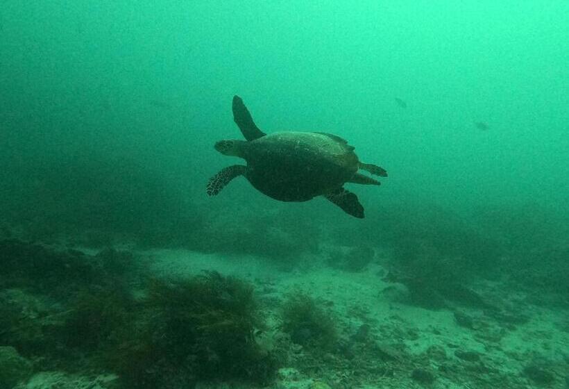 Пансион Or Mandira Guest House