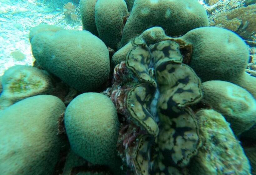 Пансион Or Mandira Guest House